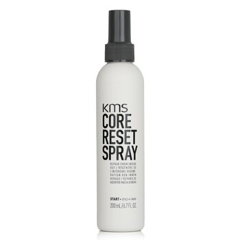 Core Reset Spray (Reparación de Adentro Hacia Afuera)